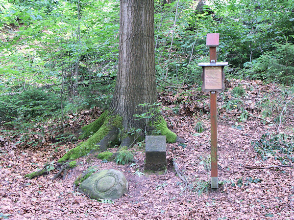 Luthereiche und Brotstein an der Leipaer Straße.