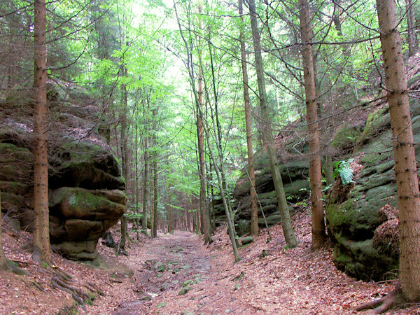 Felsen am Fuße des Eschengrundes.