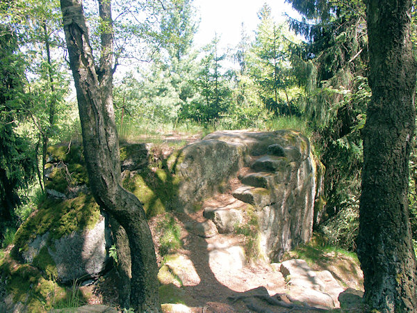 Heute ist der alte Aussichtspunkt von Wald umgeben.