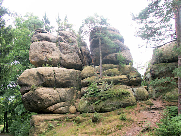 Die Felsgruppe der Thomasfelsen am Südhang des Berges.