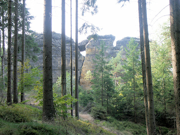 Die Felsformation Oybiner Lokomotive am Nordhang des Berges.