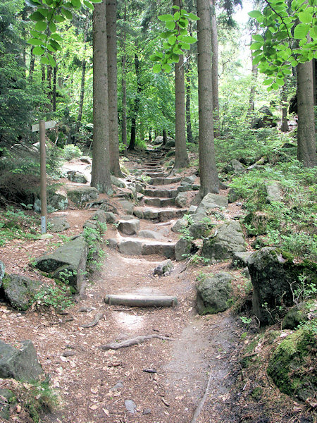 Orgelsteig im Südosten der Jonsdorfer Felsenstadt.