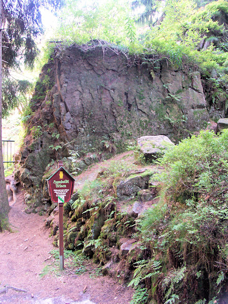 Der Basaltfelsen Humboldfelsen inmitten des Steinbruches.