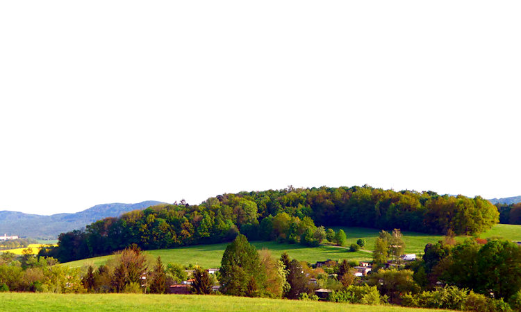 Die Koitsche vom Scheibeberg aus gesehen.