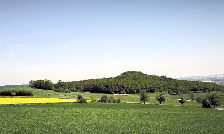 Blick vom Steinberg zum Seidelsberg.
