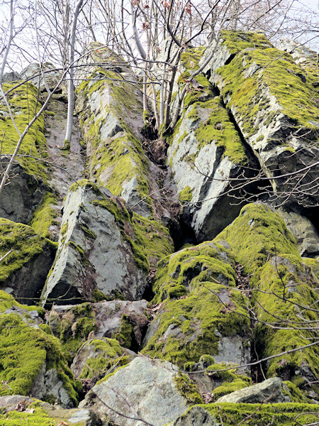 Phonolithsäulen am Gipfel des Steinberges.