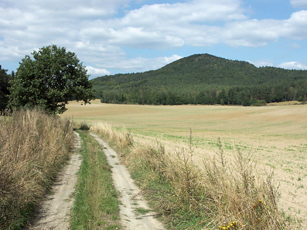 Pohled na Šedinu z jihu od cesty, vedoucí ze Zbyn do Chlumu. Stav v roce 2004 před rozparcelováním polí.