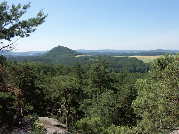 Výhled na Berkovský vrch s Řípem v pozadí.